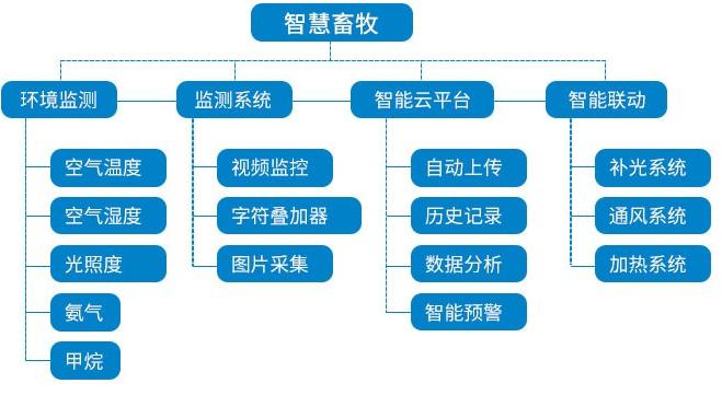 整体方案设计